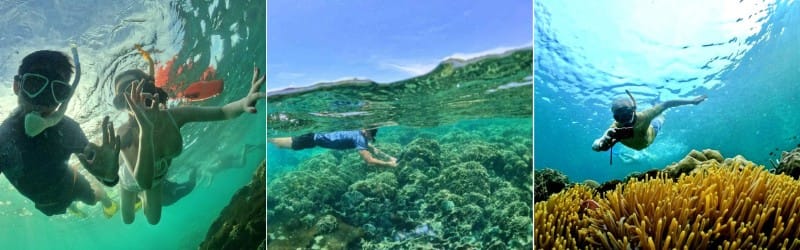 Tắm biển và lặn ngắm san hô