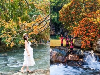 Tour Gia Lai Quy Nhơn 2 ngày 2 đêm: Biển đảo gọi mời