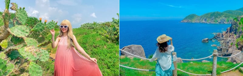 Tôi thấy Hoa Vàng Trên Cỏ Xanh