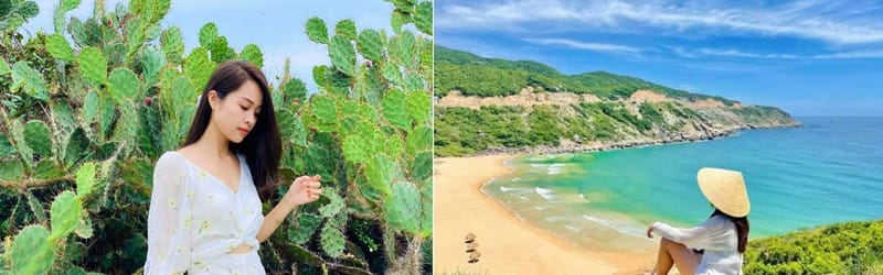 Tôi thấy hoa vàng trên cỏ xanh